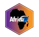 Africa R Users
